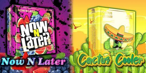 Now n Later / Cactus Cooler Summer Edition