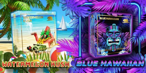 Watermelon Kush / Blue Hawaiian Summer Editon