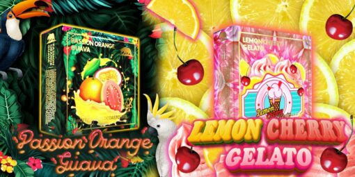 Passion Orange Guava / Lemon Cherry Gelato Summer Edition