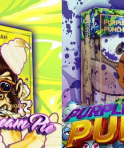 Banana Cream Pie / Purple Cookie Punch